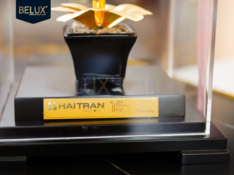 Lô chậu lan 15 năm Hải Trần 17x14x22cm&nbsp;dát vàng 24k thiết kế theo yêu cầu